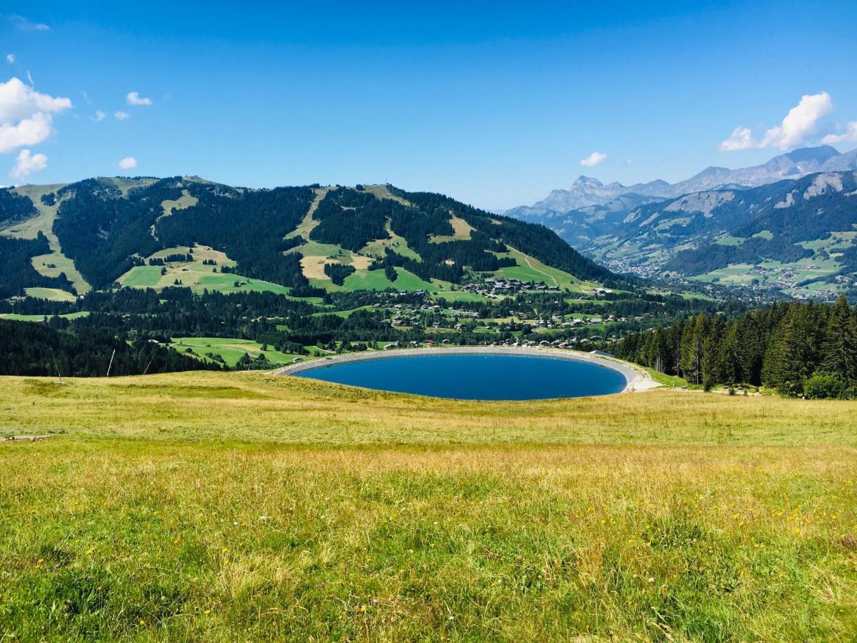 Appartamento Fleur Des Montagnes Praz-sur-Arly Esterno foto